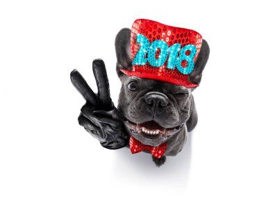 mutlu yeni yıl köpek celberation