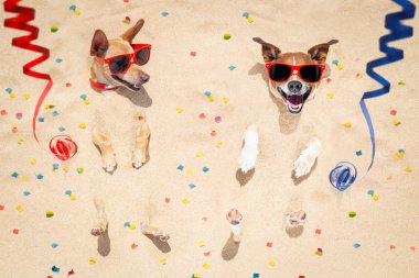 mutlu yeni yıl köpek sahilde 