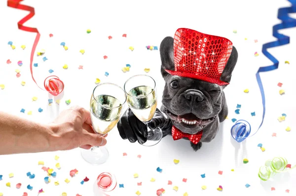 Felice anno nuovo cane celberation — Foto Stock