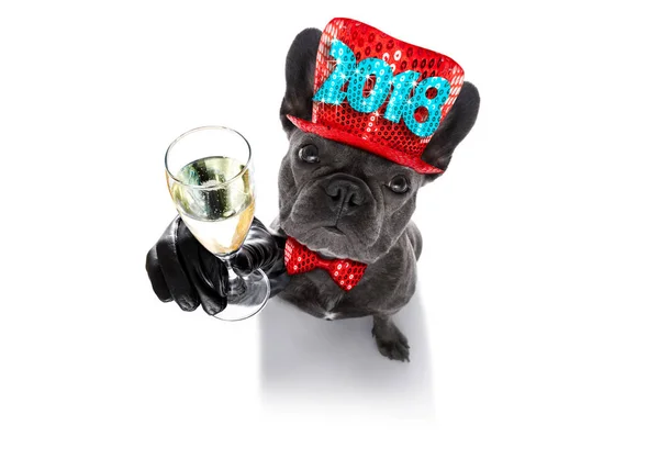 Frohes neues Jahr Hund celberation — Stockfoto