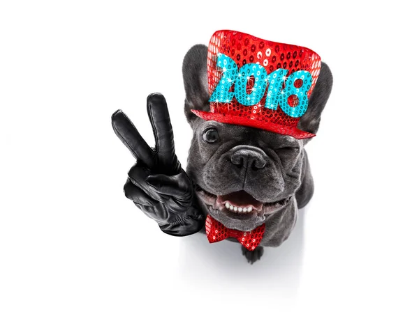 Feliz año nuevo celberation perro —  Fotos de Stock