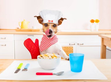 Şef Aşçı köpek mutfak 