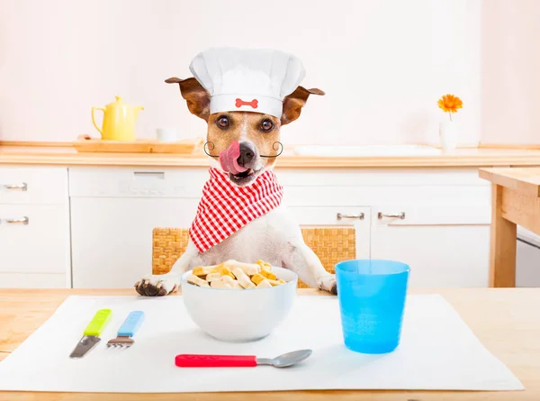 Chef cuisinier chien dans la cuisine — Photo