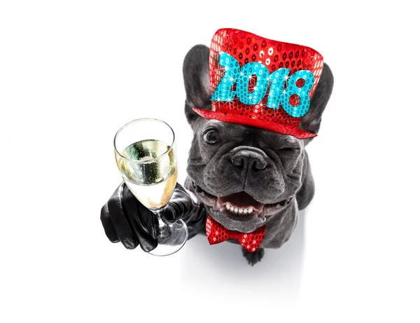 Gelukkig Nieuwjaar hond celberation — Stockfoto