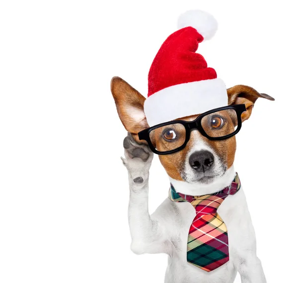 Perro escuchando en Navidad — Foto de Stock