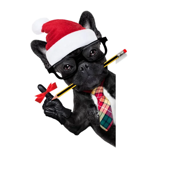 Hund kontorist på jullovet — Stockfoto