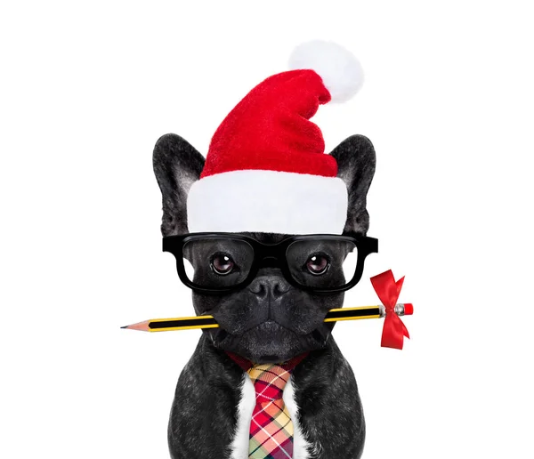 Dog office worker on christmas holidays — Stock Photo, Image