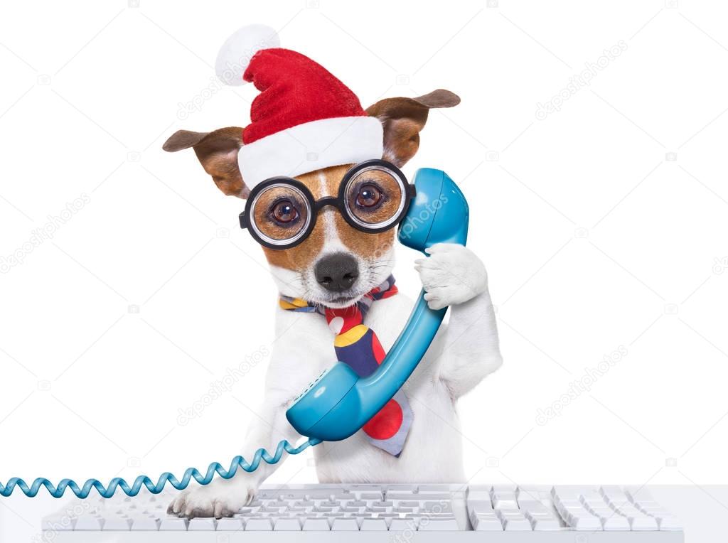 dog office worker on christmas holidays