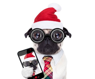 ofis çalışanı Noel tatili üzerinde köpek