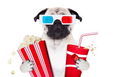 film izlemek köpek 