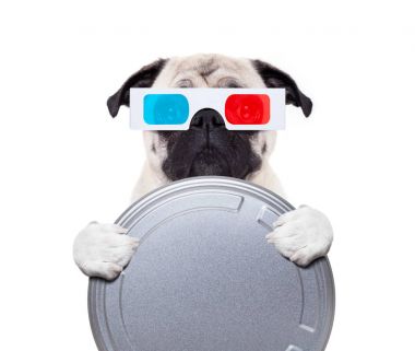 film izlemek köpek 