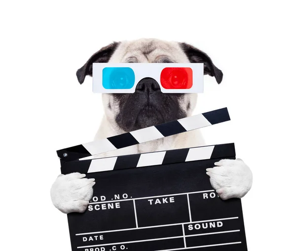 Собака смотрит фильмы — стоковое фото