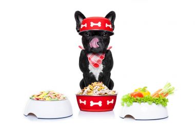 aç köpek gıda Kazanlı
