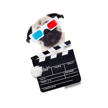 film izlemek köpek 