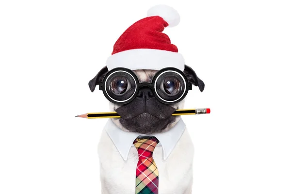 Hundebüroangestellte im Weihnachtsurlaub — Stockfoto