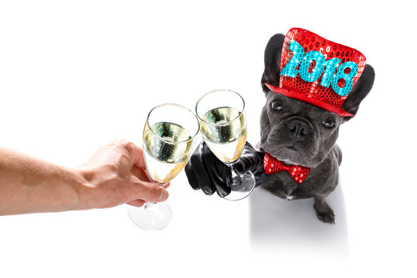 happy new year dog celberation