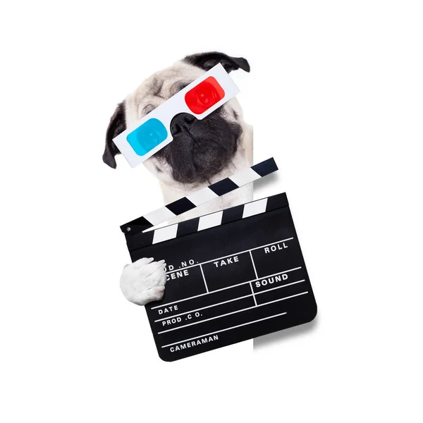 Dog watching the  movies — Stock Photo, Image