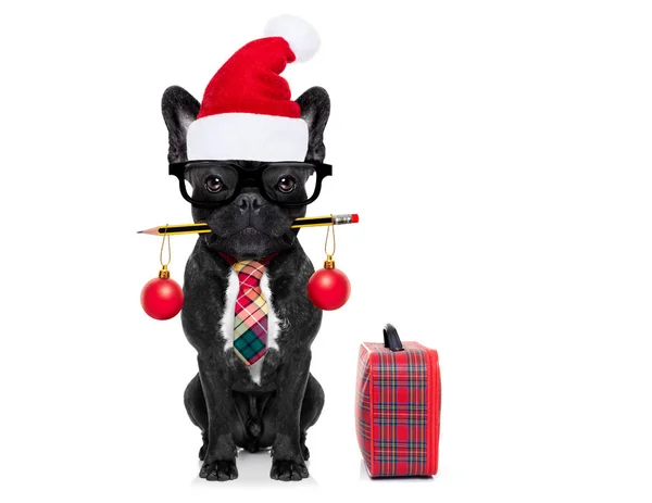 Dog office worker on christmas holidays — Stock Photo, Image