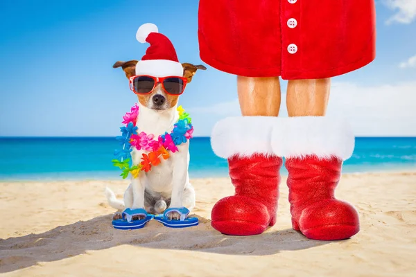 Köpek ve sahibi olarak Noel Baba Noel sahilde — Stok fotoğraf