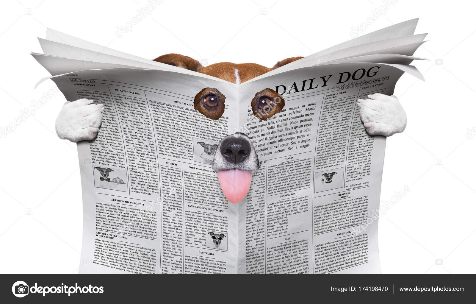 depositphotos_174198470-stockafbeelding-spion-hond-lezen-van-een.jpg