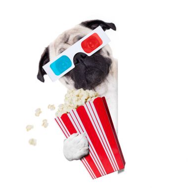 film izlemek köpek 