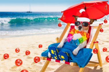 Noel Baba Noel plajda hamakta köpek