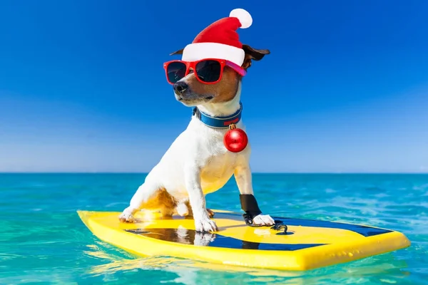 Sörfçü Noel Noel Baba köpek — Stok fotoğraf