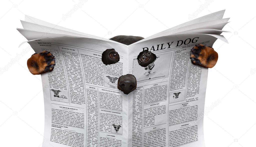 spy dog reading a newspaper