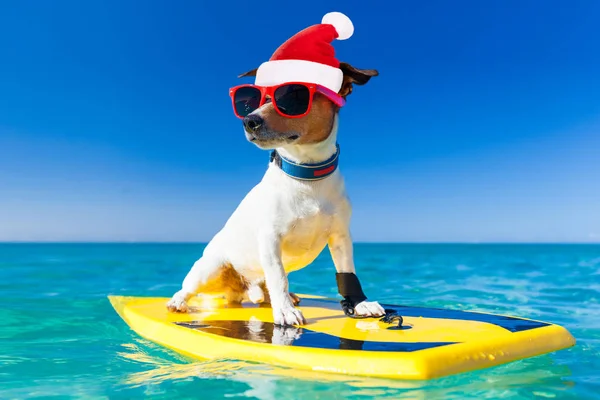 Sörfçü Noel Noel Baba köpek — Stok fotoğraf