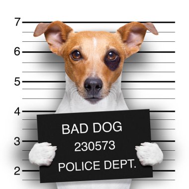 Polis karakoluna MugShot köpek