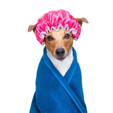 köpek Sağlık Spa