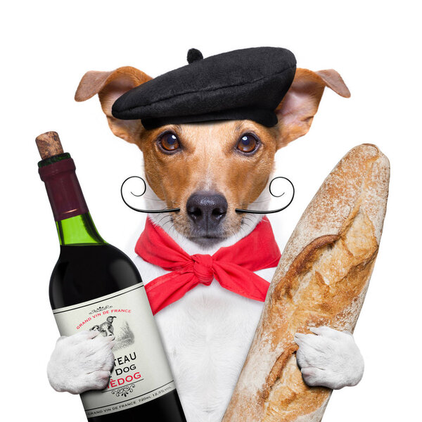 dog  wine baguette beret