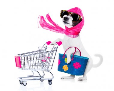 alışveriş köpek diva