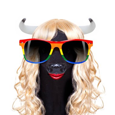 gay pride cow as drag queen standing for  social equality, for csd, christopher street day or  homosexual parade clipart