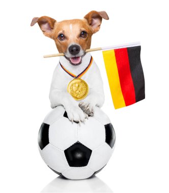 Futbol jack russell beyaz arka plan ve Alman bayrağı izole deri topuyla oynayan köpek