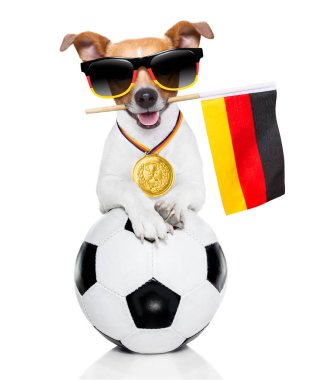 Futbol jack russell beyaz arka plan ve Alman bayrağı güneş gözlüğü takıyor izole deri topuyla oynayan köpek
