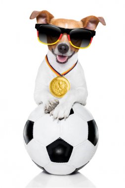 Futbol jack russell beyaz arka plan ve Alman bayrağı güneş gözlüğü takıyor izole deri topuyla oynayan köpek