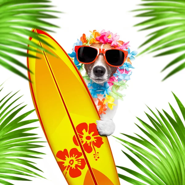 Zomer paradijs vakantie surfer hond — Stockfoto