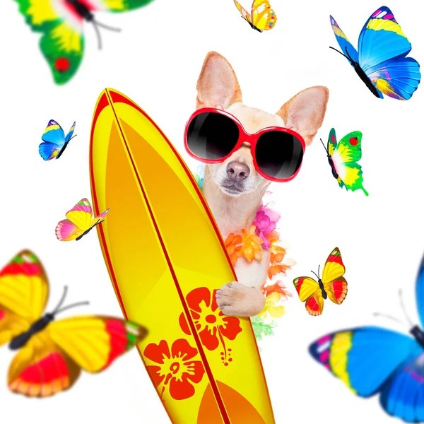 Summer paradise vacation surfer dog — Stock Photo, Image