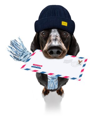 Köpek postası, postacı. 