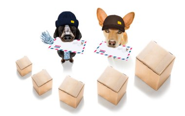 Köpek postası, postacı. 