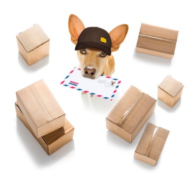 Köpek postası, postacı. 