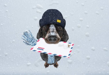 Köpek postası, postacı. 