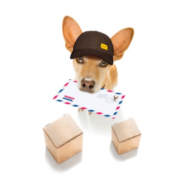 Köpek postası, postacı. 