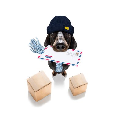 Köpek postası, postacı. 