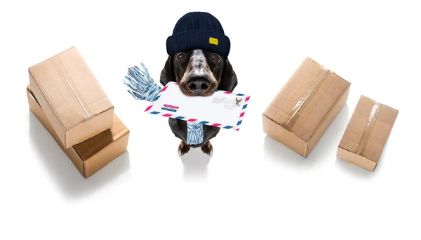 Psí pošta doručit poštovní doručovatel — Stock fotografie