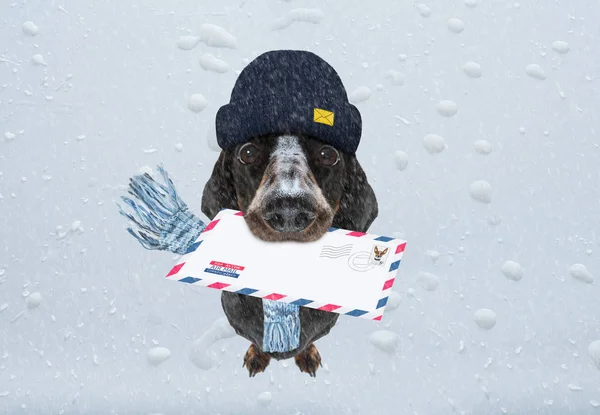Dog mail deliver   postal post man — Stock Photo, Image