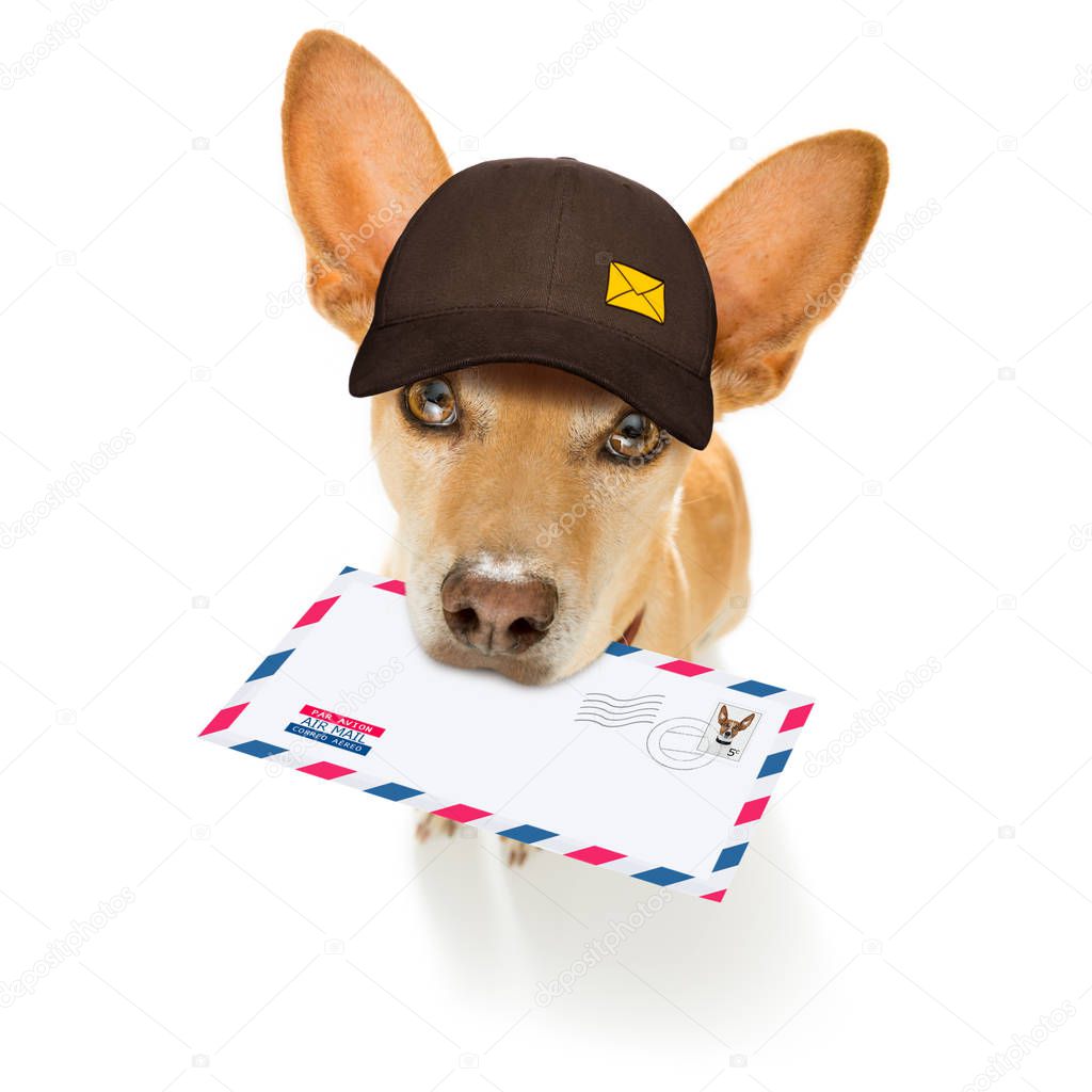 dog mail deliver   postal post man 