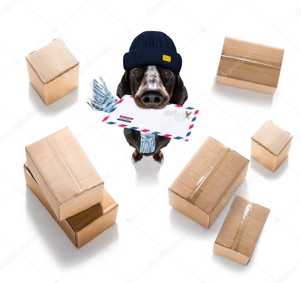 dog mail deliver   postal post man 