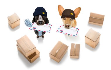 Köpek postası, postacı. 